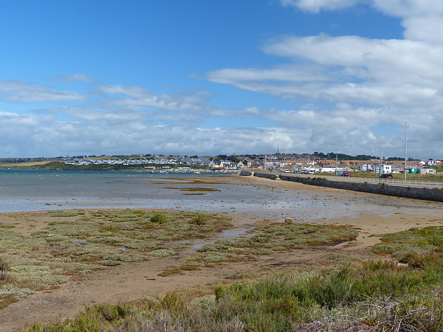 Ferrybridge Sand-flats (1) - 6 July 2020