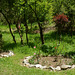 Bulgaria, Blagoevgrad, Flower Bed in the Forest Park of Bachinovo