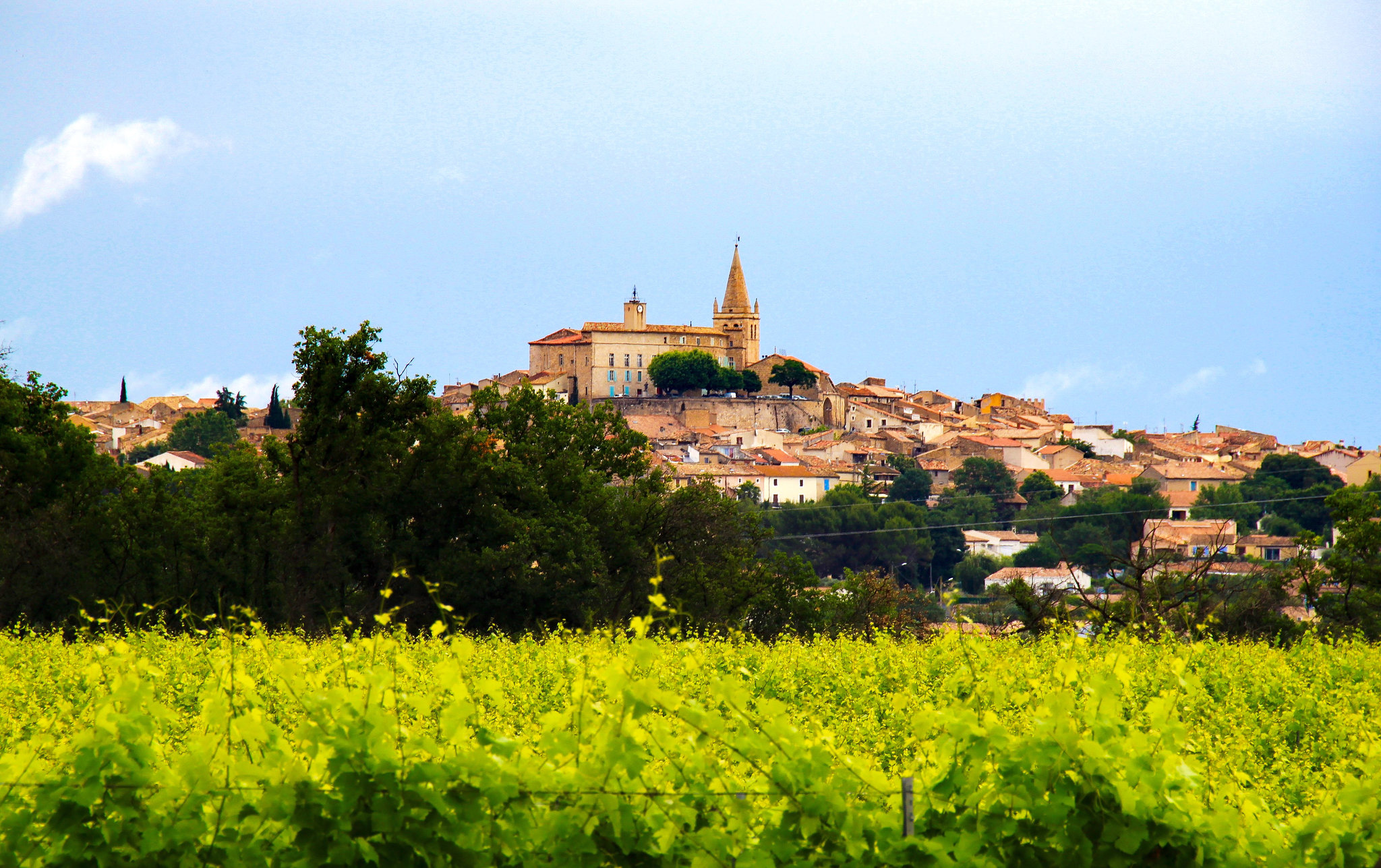 The Wealth of the South of France is the Wine: Quarante, Herault