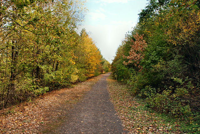 Halde Hoppenbruch, Herten / 15.10.2018