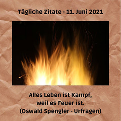 Tägliche Zitate - 11. Juni 2021