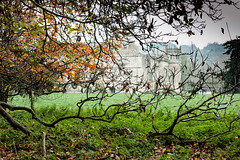 Lacock Abbey in November