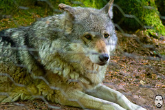 bystudiomt.de-05bystudiomt.de