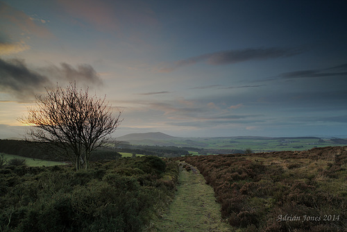Twilight Descends