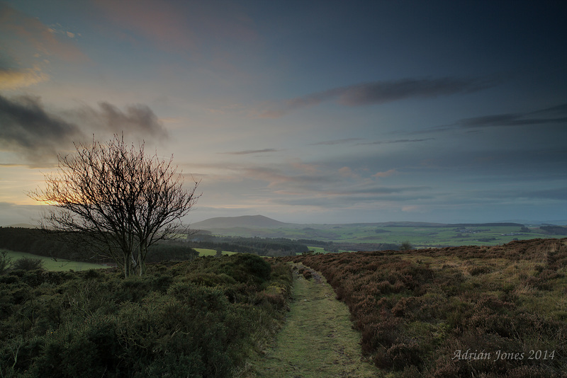 Twilight Descends