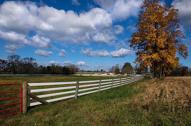 fields of Fall