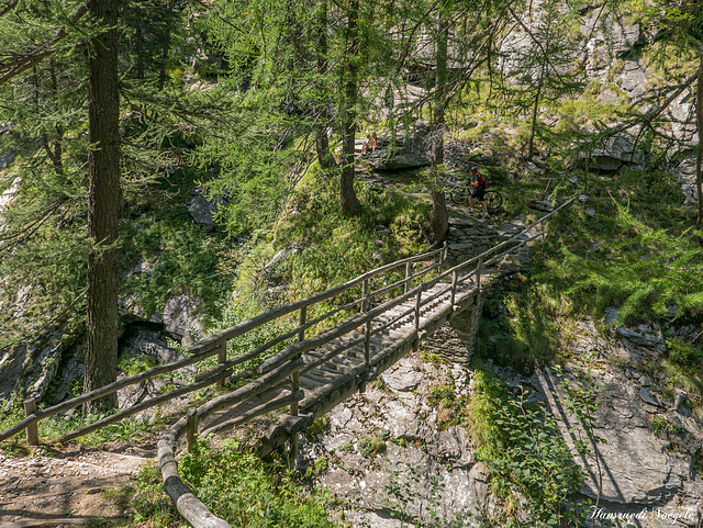 Cardinello Schlucht