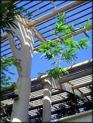 Estufa Fría, botanical garden
