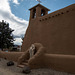 A New Mexico adobe church13