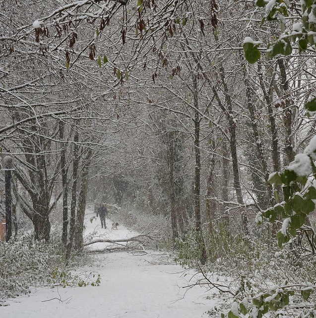 A winter's walk down the line.