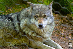 bystudiomt.de-06bystudiomt.de