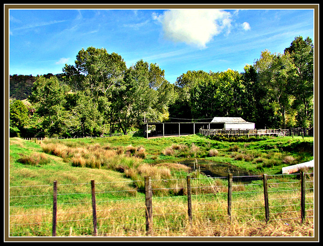 Taranaki Farm .