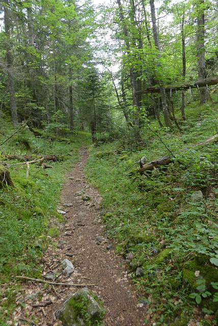 20170718 -23 Randos St Agnan en Vercors (81) al