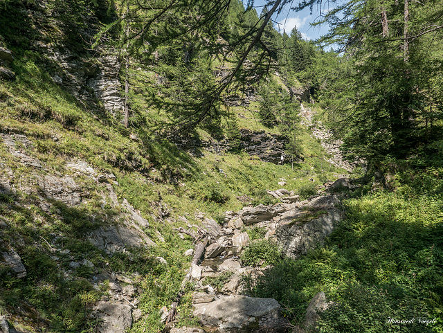 Cardinello Schlucht