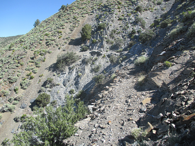 Inyo 29