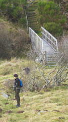 Burn crossing ahead on the Speyside Way