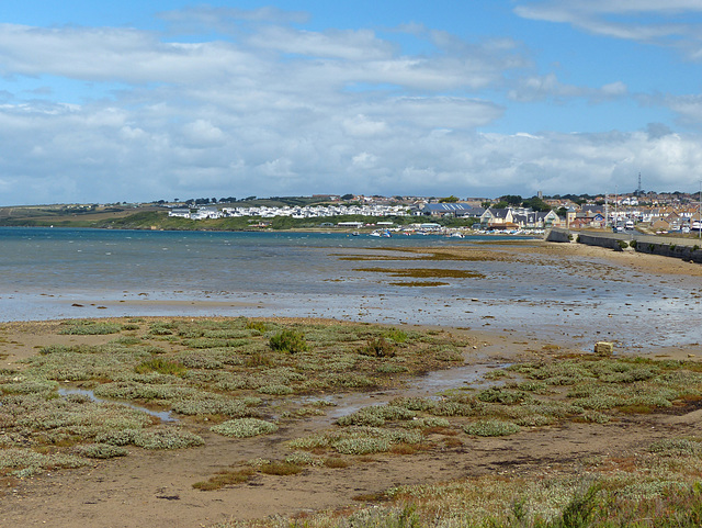 Ferrybridge Sand-flats (2) - 6 July 2020