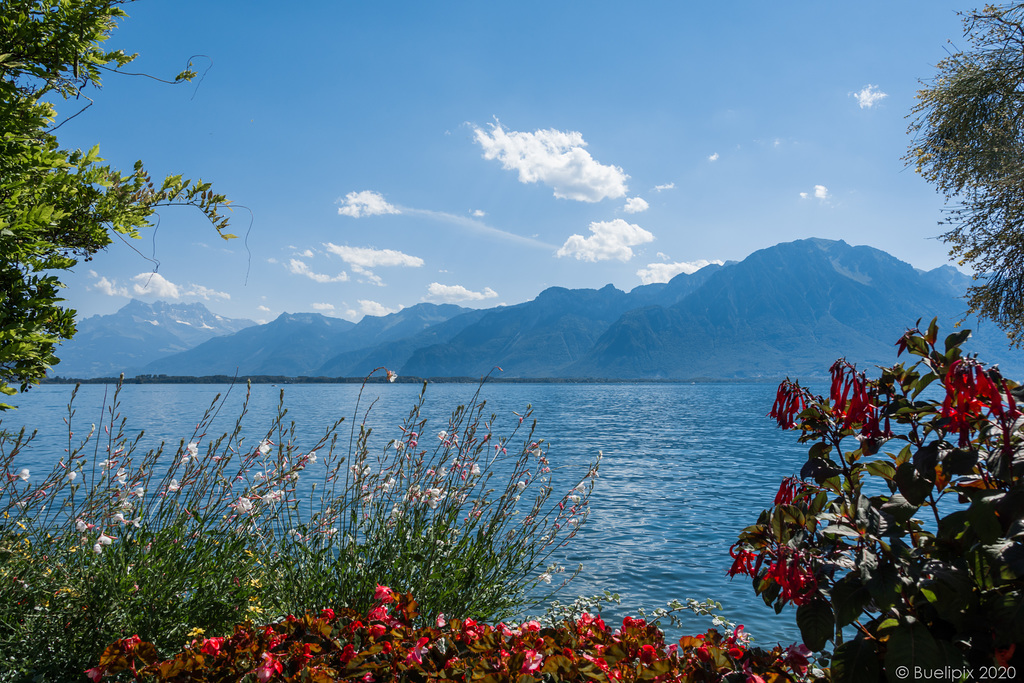 an der Uferpromenade von Montreux (© Buelipix)