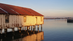 Drayton Bay and Mount Baker