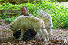 bystudiomt.de-07bystudiomt.de