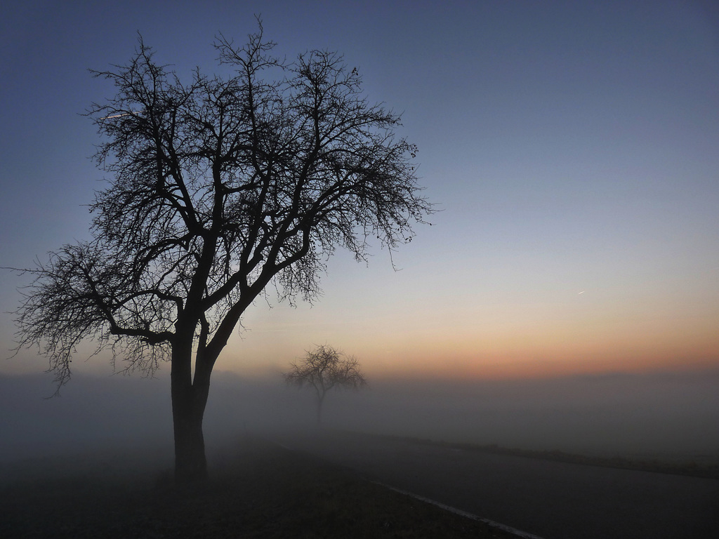 Sonnenuntergang im Nebel