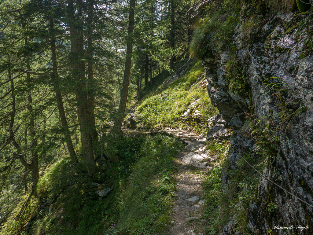 Cardinello Schlucht