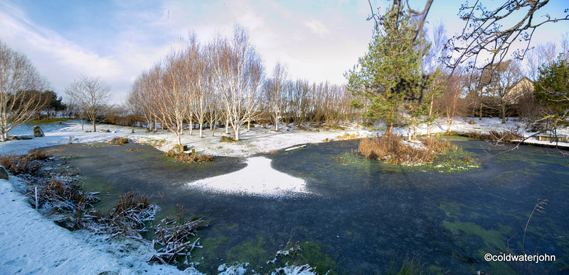 There are rabbit prints across the ice this morning...