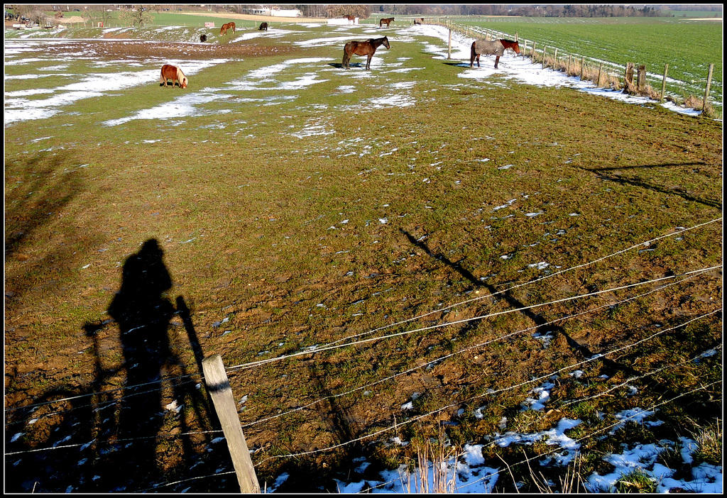 Shadow Photographer