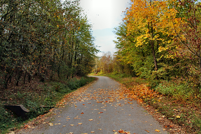 Halde Hoppenbruch, Herten / 15.10.2018