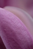 DSCF4712