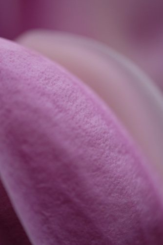 DSCF4712