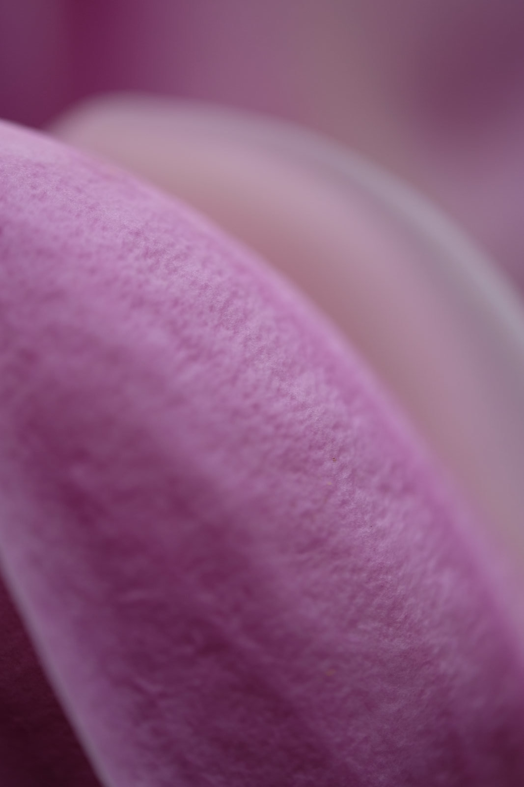 DSCF4712