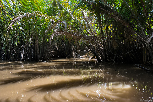 kleine Bootstour im Mekongdelta (© Buelipix)