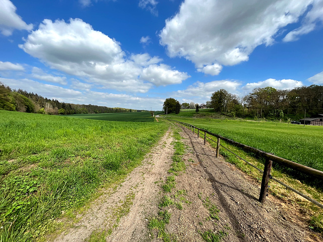 DE - Weilerswist - Frühling im Dobschleider Tal