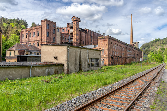 Linoleum Factory