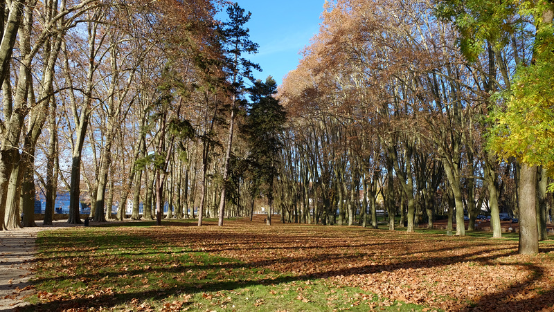 BESANCON: Le parc Chamars 04.