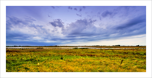 Late light Dannemeer ('t Roegwold) Groningen