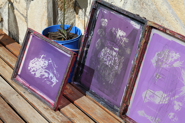 Screens drying in the sun