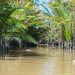 kleine Bootstour im Mekongdelta (© Buelipix)