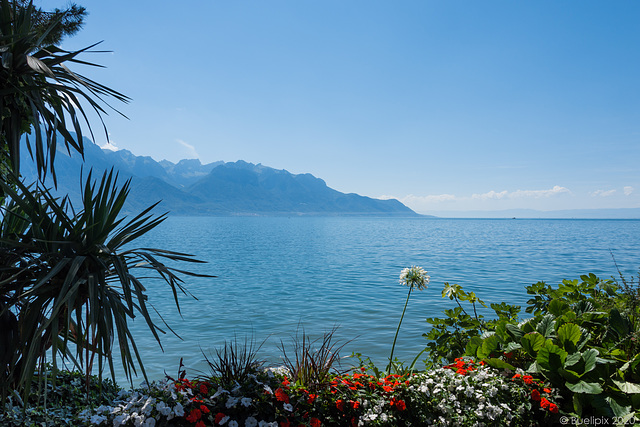 an der Uferpromenade von Montreux (© Buelipix)