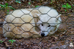 bystudiomt.de-09bystudiomt.de