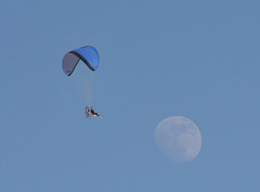 Fly me to the Moon.....