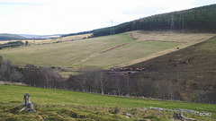 View from the Speyside Way