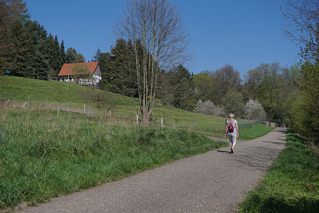 Im Forstbachtal