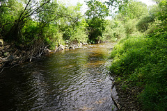 Es ist wieder Wasser in der Sieber