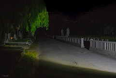Nachts, am Wiener Zentralfriedhof. HFF everybody