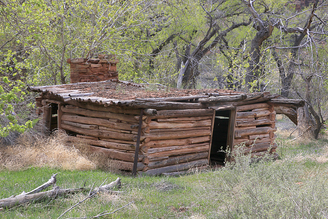 Abandoned Cabin