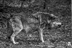 bystudiomt.de-10bystudiomt.de