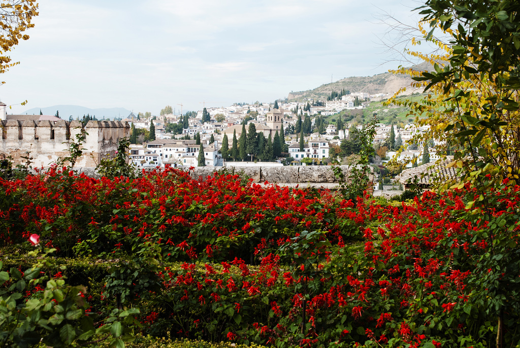 El Albaicín desde la Alhambra