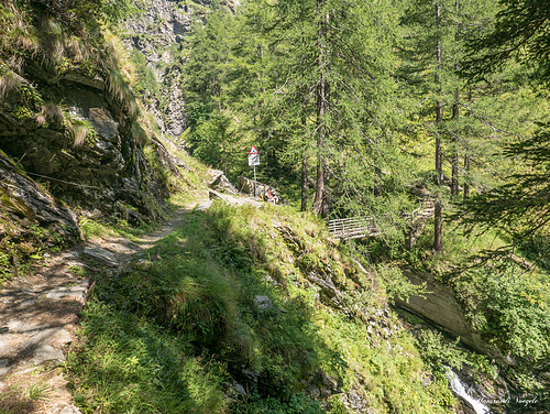 Cardinello Schlucht